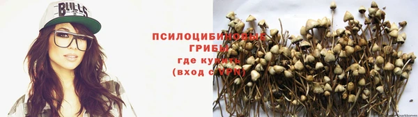 СК Алексеевка