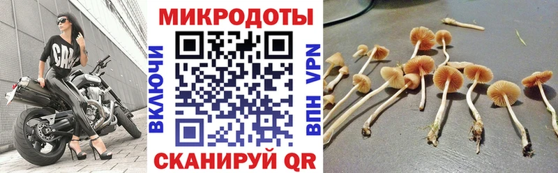 ссылка на мегу сайт  Дедовск  Псилоцибиновые грибы Cubensis 